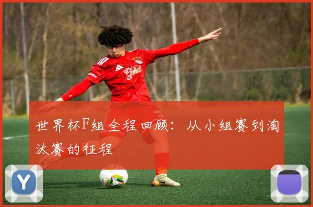 世界杯F组全程回顾:从小组赛到淘汰赛的征程
