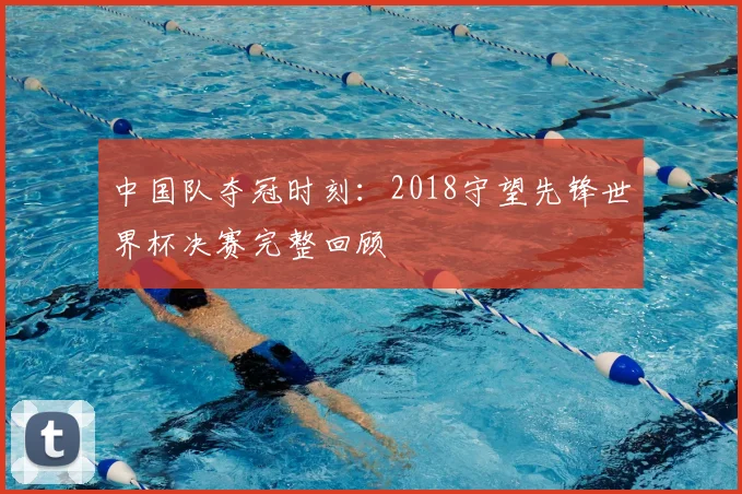 中国队夺冠时刻：2018守望先锋世界杯决赛完整回顾