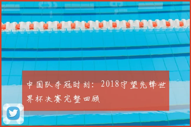 中国队夺冠时刻：2018守望先锋世界杯决赛完整回顾